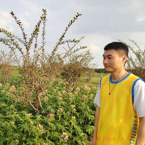 37岁岁广东单身帅哥 - 宜宾吉缘网