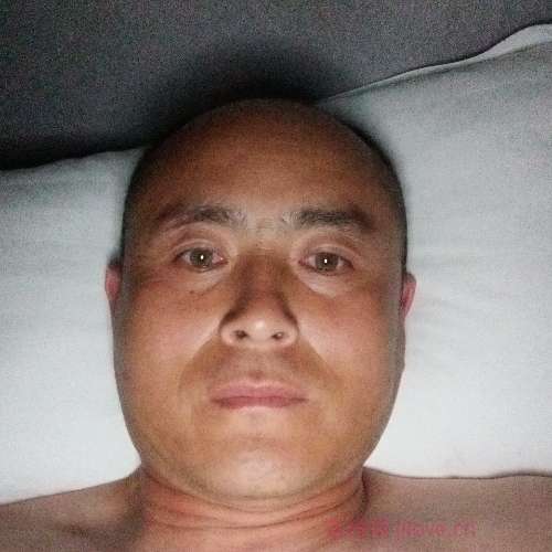 嘉宾照片